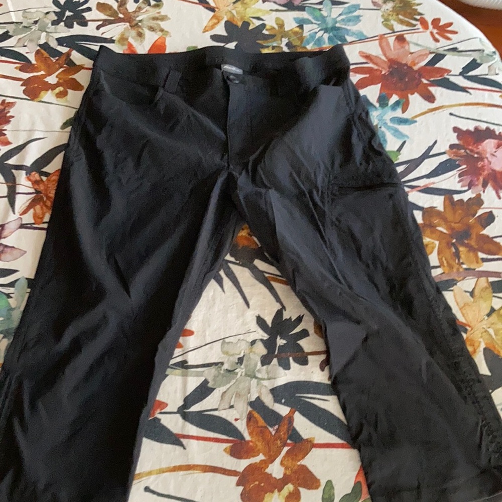 Eddie Bauer nylon travel pants